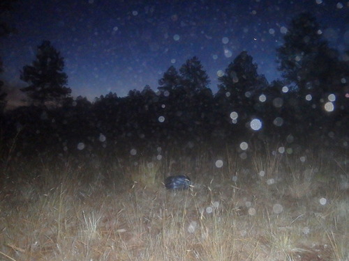 GDMBR: That's a picture of our Bear Safe about 10 yards/meters in front of our tent.